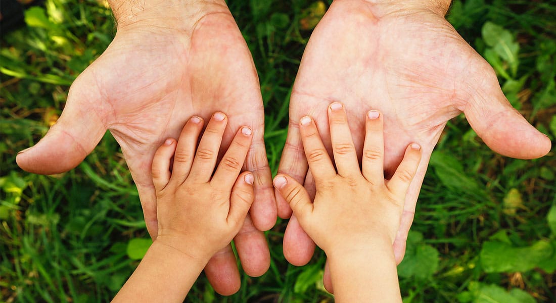 Ley de protección integral a la infancia