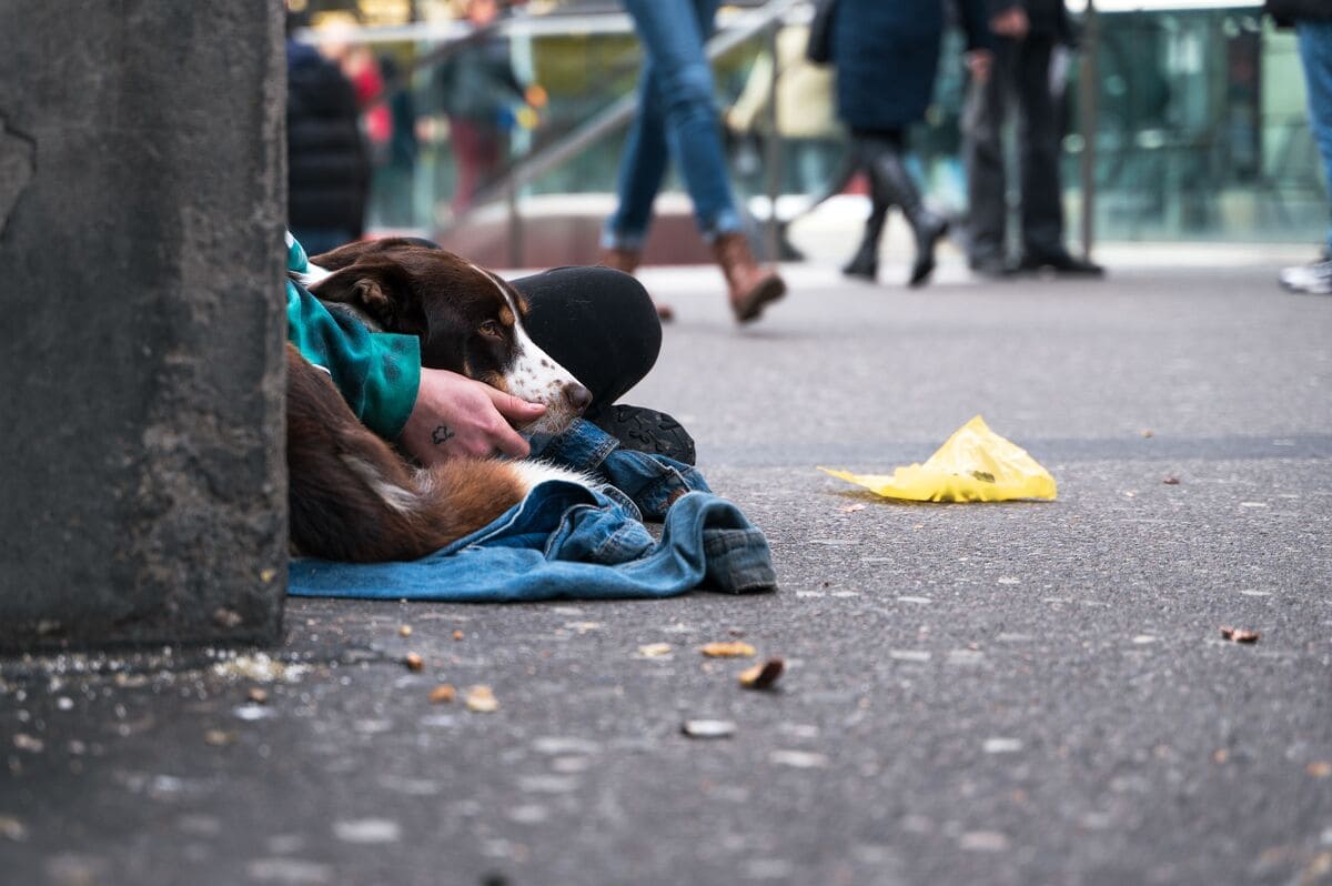 Atención a personas sin hogar desde el Trabajo Social Sanitario